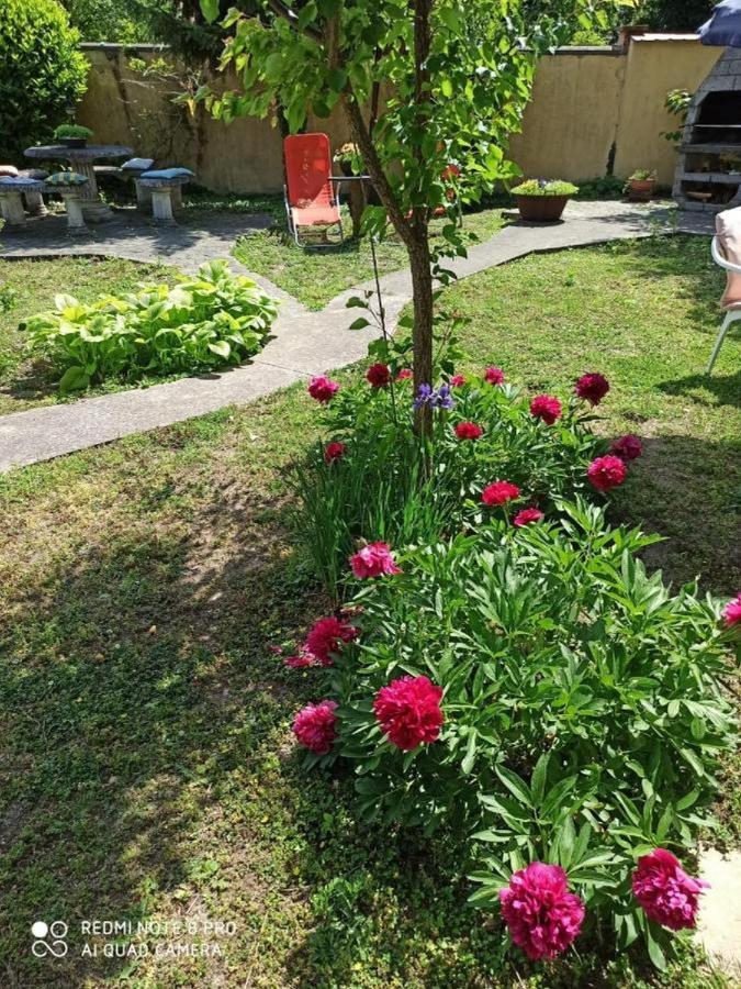 Appartement Cocic Garden à Osijek Extérieur photo